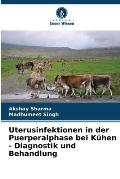 Uterusinfektionen in der Puerperalphase bei K?hen - Diagnostik und Behandlung