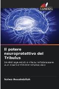 Il potere neuroprotettivo del Tribulus