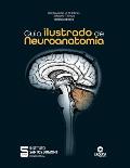Guia ilustrado de neuroanatomia