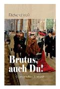 Brutus, auch Du! (Historischer Roman): Italien in den Ersten Weltkrieg
