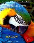 Macaw: Words of Nature