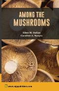 Among The Mushrooms: A Guide for Beginners