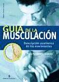 Guia de la musculacion / Muscle Guide