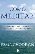 Como Meditar: Y Ser al Mismo Tiempo un Buen Amigo de Tu Mente = How to Meditate
