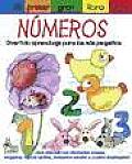 Mi Primer Gran Libro de los Numeros Divertido Aprendizaje Para los Mas Pequenos My First Big Book of Numbers