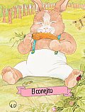 Historia De Un Conejito The Little Bunny