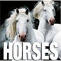 Horses Cubebook Series