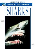 Sharks White Star Guide Underwater World