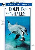 Dolphins & Whales White Star Guides Underwater World