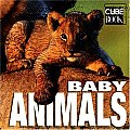 Baby Animals (Minicube)