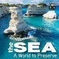 Sea A World to Preserve
