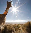 Vicuna The Queen of the Andes