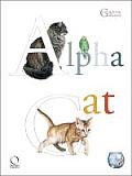 Alpha Cat