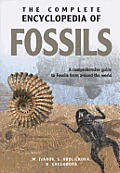 Complete Encyclopedia Of Fossils 3rd Edition