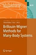 Brillouin-Wigner Methods for Many-Body Systems