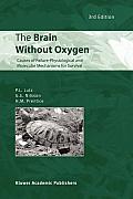 The Brain Without Oxygen: Causes of Failure-Physiological and Molecular Mechanisms for Survival