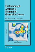 Multiwavelength Approach to Unidentified Gamma-Ray Sources: A Second Workshop on the Nature of the High-Energy Unidentified Sources