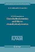 Iutam Symposium on Elastohydrodynamics and Micro-Elastohydrodynamics: Proceedings of the Iutam Symposium Held in Cardiff, Uk, 1-3 September 2004