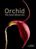 Orchid The Fatal Attraction