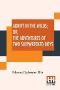 Adrift In The Wilds; Or, The Adventures Of Two Shipwrecked Boys