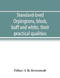 Standard-bred Orpingtons, black, buff and white, their practical qualities; the standard requirements; how to judge them; how to mate and breed for be