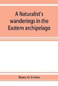 A naturalist's wanderings in the Eastern archipelago; a narrative of travel and exploration from 1878 to 1883