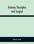 Anatomy Descriptive And Surgical
