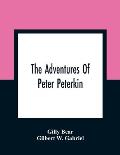 The Adventures Of Peter Peterkin