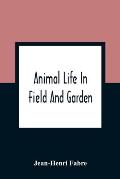 Animal Life In Field And Garden