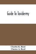 Guide To Taxidermy