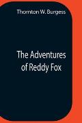 The Adventures Of Reddy Fox