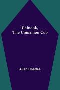 Chinook, the Cinnamon Cub
