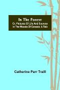 In the Forest; Or, Pictures of Life and Scenery in the Woods of Canada: A Tale