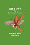 Little Wolf: A Tale of the Western Frontier