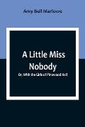 A Little Miss Nobody; Or, With the Girls of Pinewood Hall