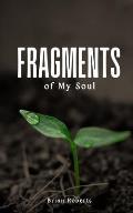 Fragments of My Soul