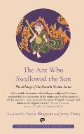 The Ant Who Swallowed the Sun