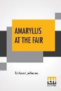 Amaryllis At The Fair: With Introduction By Edward Garnett