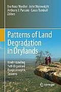 Patterns of Land Degradation in Drylands: Understanding Self-Organised Ecogeomorphic Systems