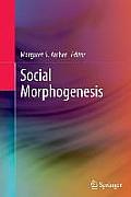 Social Morphogenesis