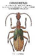 Carabid Beetles: Their Evolution, Natural History, and Classification
