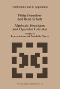 Algebraic Structures and Operator Calculus: Volume I: Representations and Probability Theory