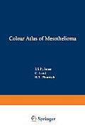 Colour Atlas of Mesothelioma: Prepared for the Commission of the European Communities, Directorate-General Employment, Social Affairs and Education,