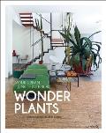 Wonder Plants Your Urban Jungle Interior