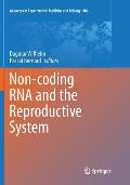Non-Coding RNA and the Reproductive System