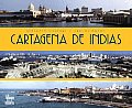 Cartagena de Los Indias Panoramic Vision from the Air