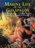 Marine Life of the Galapagos The Divers Guide to Fishes Whales Dolphins & Marine Invertebrates