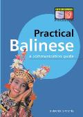 Practical Balinese