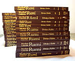 Divan-i Kebir 22 Volumes