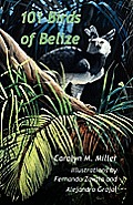 101 Birds of Belize
